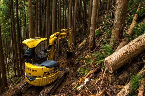 森での作業