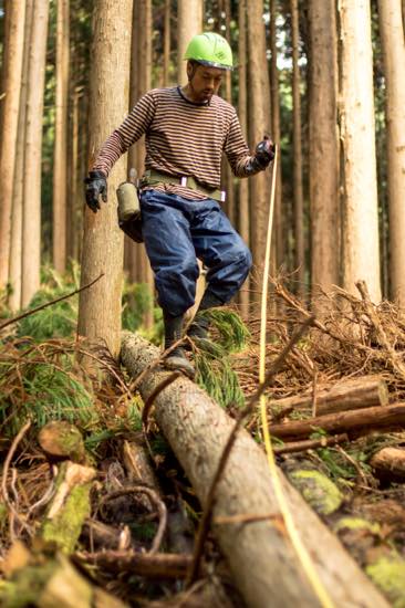 森での作業